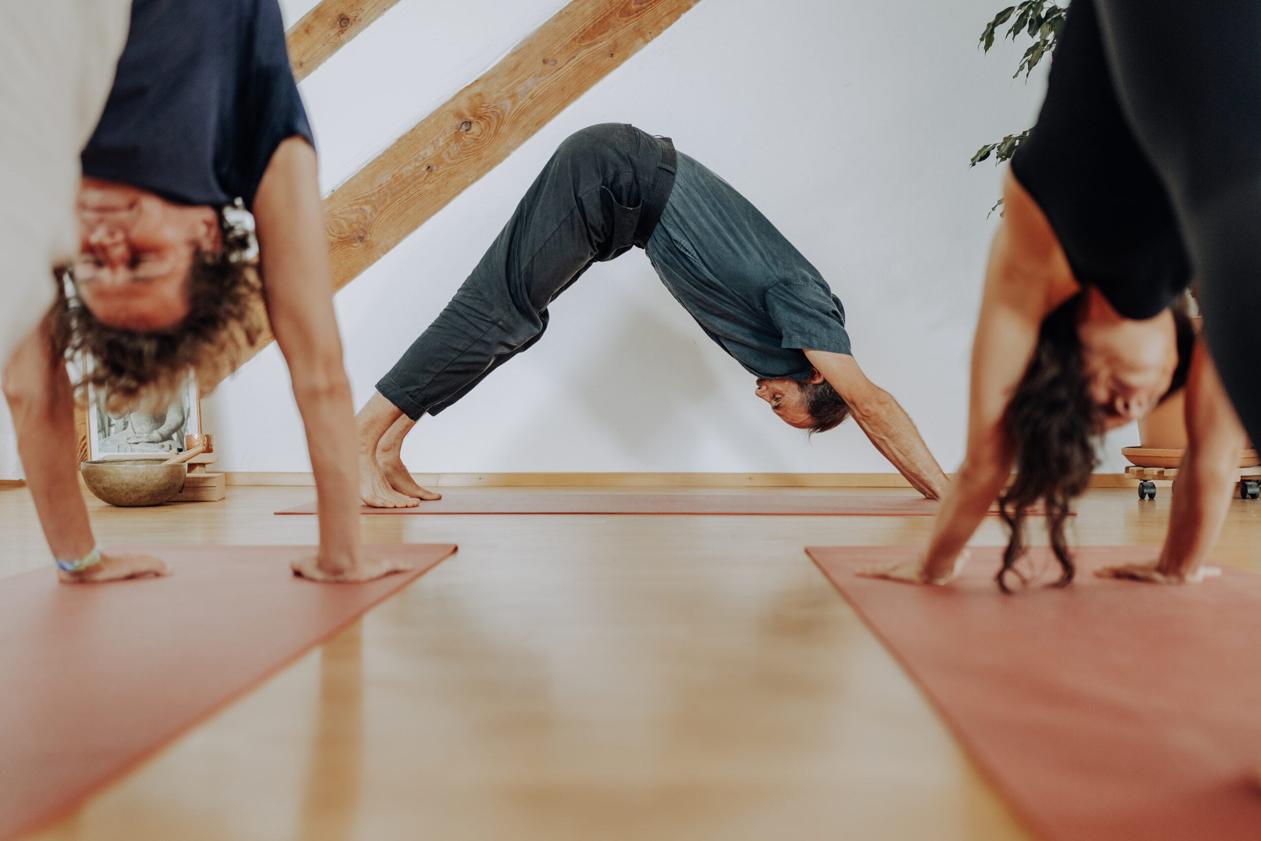 Drei Yoga Praktizierende im Herabschauenden Hund. Personal Branding Fotos in Freiburg.